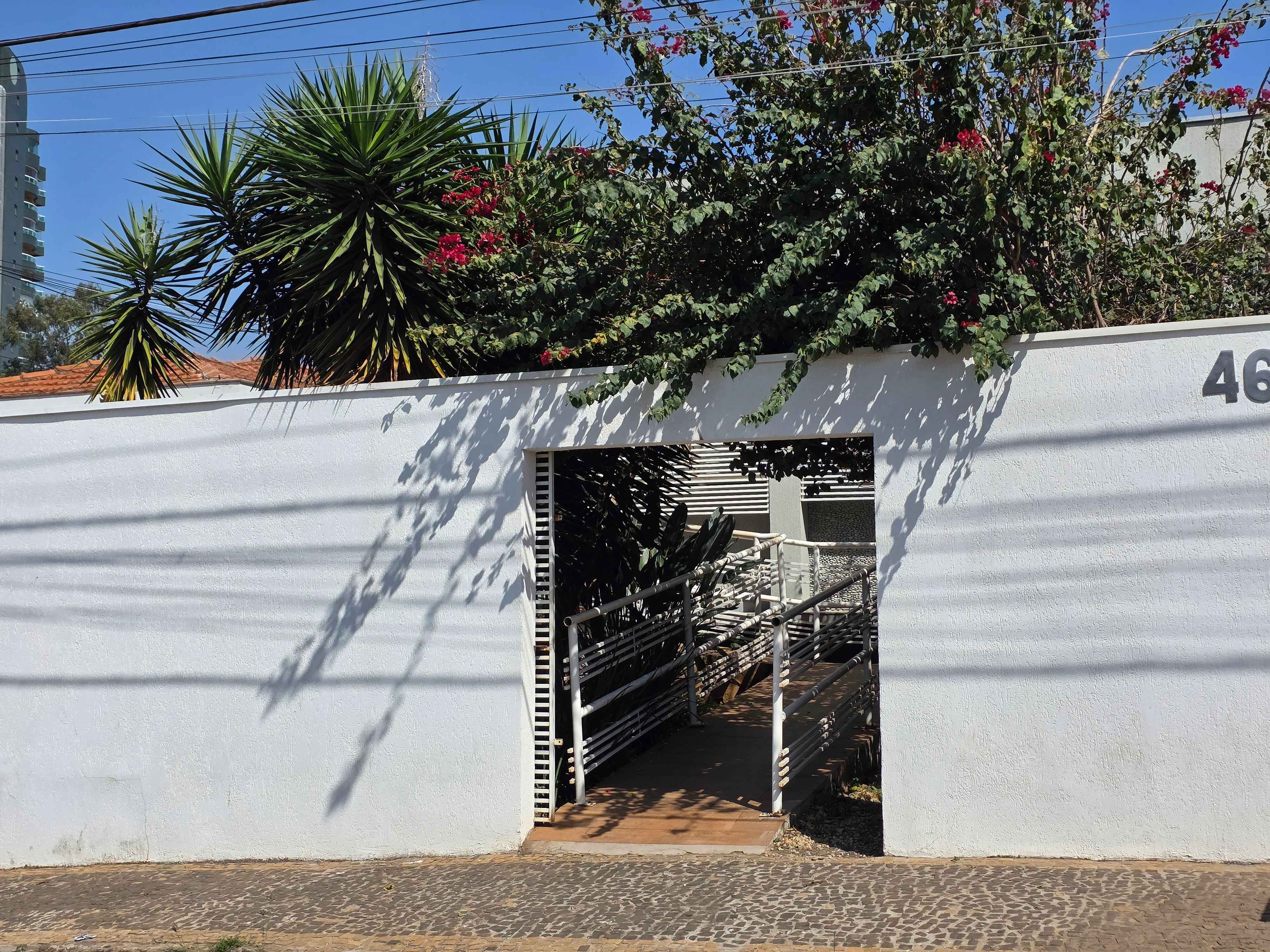 20250822_110016_11zon (1).jpg